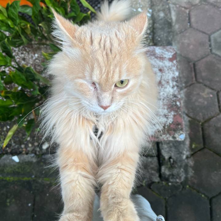 00dbb3f1 608f 4753 9d6e e262097e8c7d 1765237224540