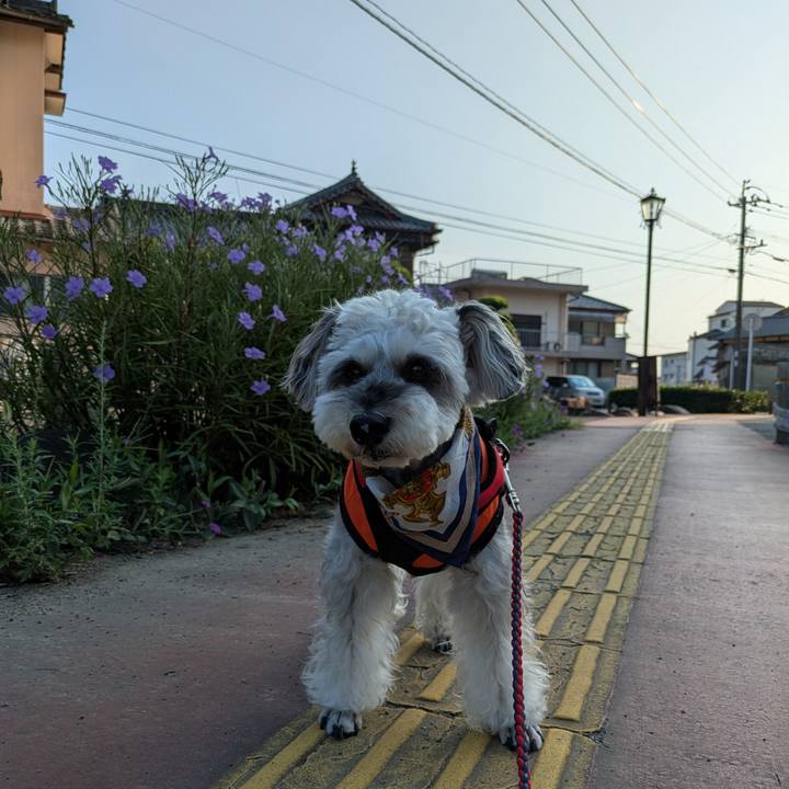 00dbb89c a375 47a3 ae9f 44d255e6eff1 1756512901095