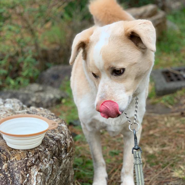 00dbbac5 847d 4bad 8d49 f59fc7144668 1551570409776