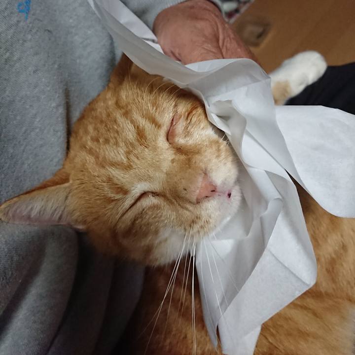 00dbf531 9632 4a68 99f0 a33908d3d758 1602411338068