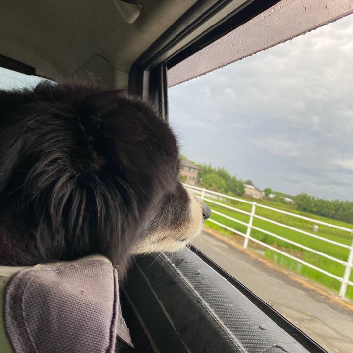 00dc01dd 8ca9 46f6 9c27 1792aad2c0b1 1692309927957