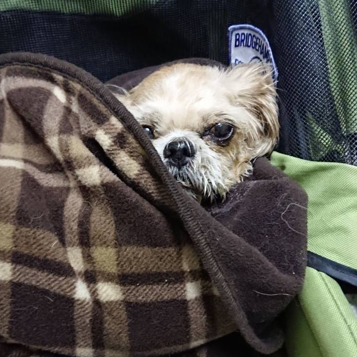 00dc6080 2755 4cb4 91aa 74045c487ef1 1553570926307