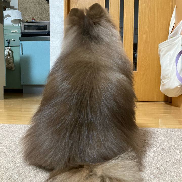 00dc7ee1 2a4c 4d42 a3f8 240fdbda9315 1673686163875