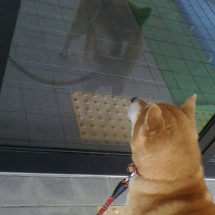 00dc88ad d505 4749 81ae 6b37ff17f839 1508150333803