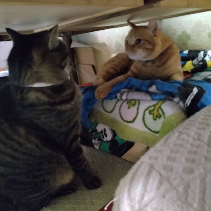 00dccd11 6e11 4d85 adee a0d161a73979 1666349958660