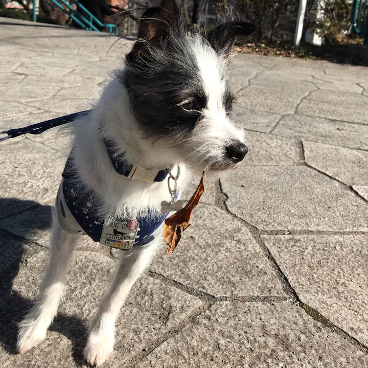 00dcdbb3 4915 48e8 b0c4 42a3a1d99861 1549081910598