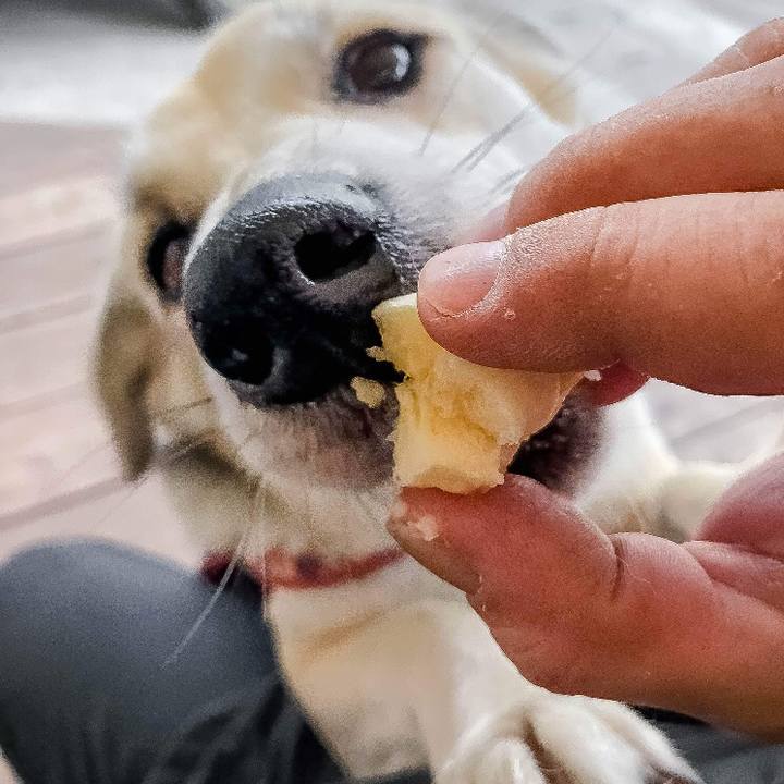 00dcdda6 a4b1 4f22 a37b f70a399a9898 1520593188667