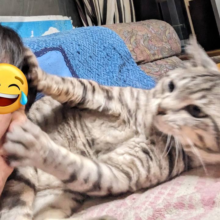 00dd0dab cbbe 4269 864e fe4dbc365ea9 1717428723310