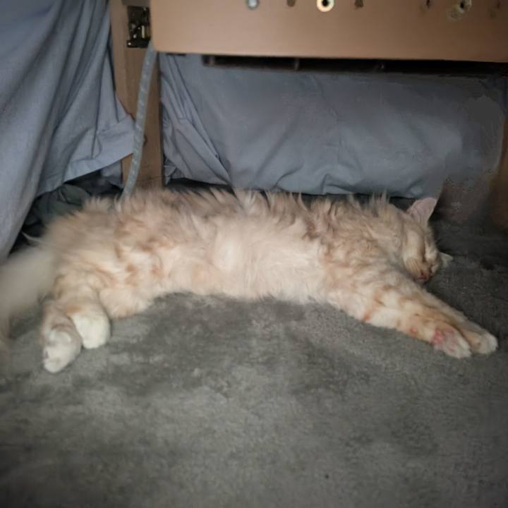 00dd3395 49e2 499d b346 2dacb1670b6f 1737894888858