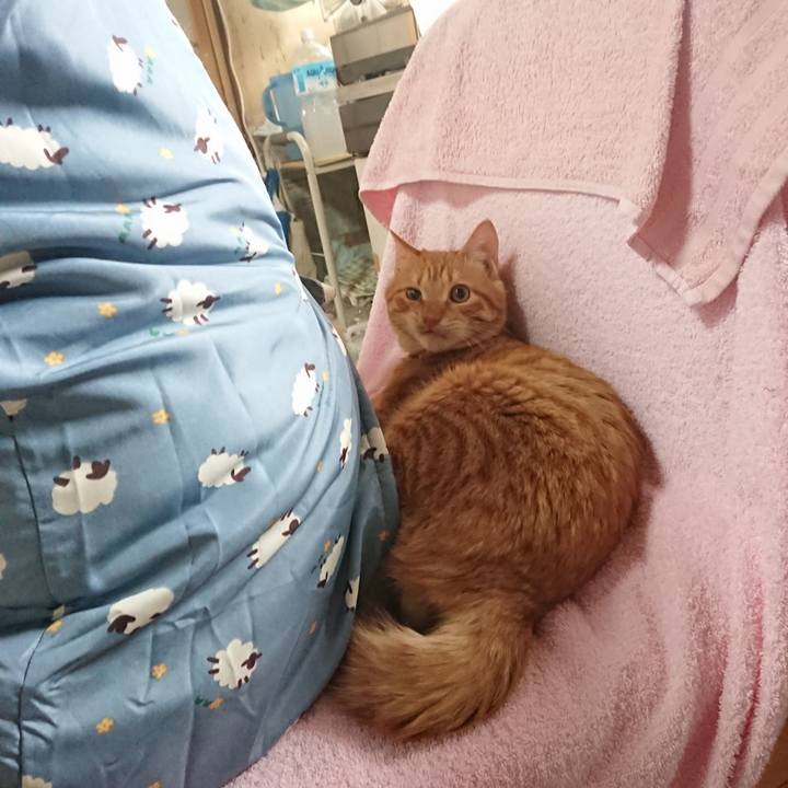 00dd3509 8278 47f3 b708 67825da34c72 1640580991719