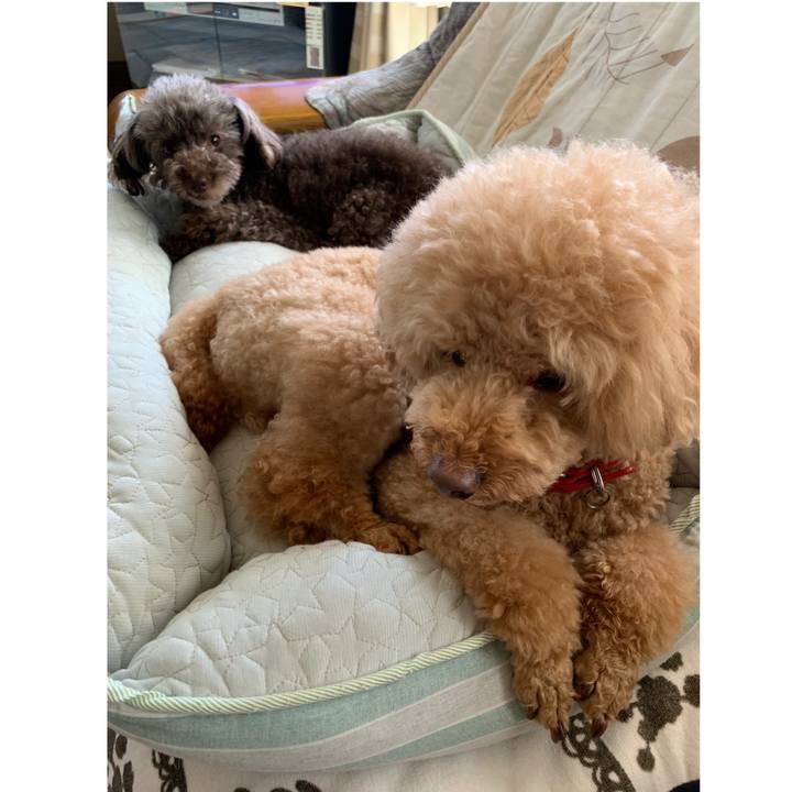 00dd50fe f535 4f19 be4a 16e39b1bfa61 1565677532321