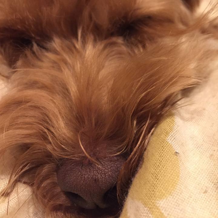 00dd65e3 2808 4621 94b3 10bf41902a02 1523624321219