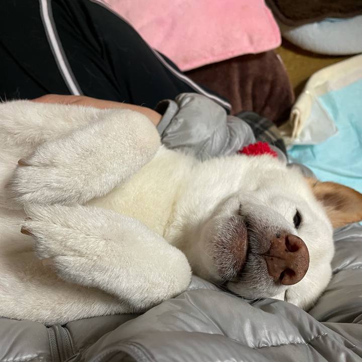 00dd67ba 56c8 45d1 8a32 4a5af96c0aa1 1639492376011