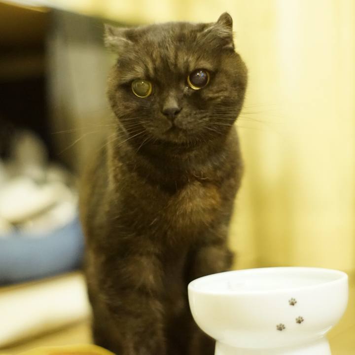 00dd6b57 0839 470f ab25 0f2830413887 1645545191928