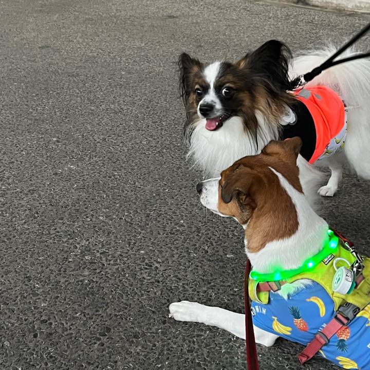 00dd83c1 d59a 48f7 9ccc ea3e73478264 1759320365817