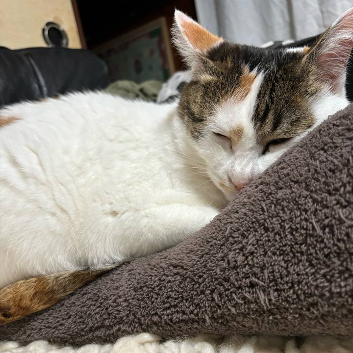 00dda4a6 effb 4fec 9a00 dba0b727f7a6 1713710636509