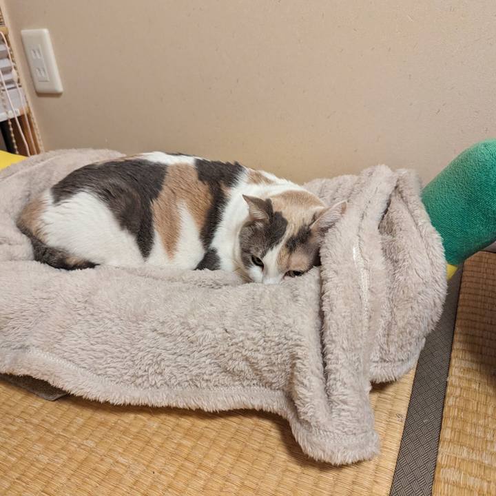 00ddd9c4 9172 43dd 8b69 807e8fdc5f95 1702524355536