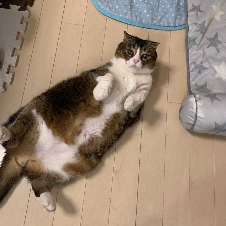 00ddfa40 9d61 4300 95a9 726e29fe4354 1660402312268