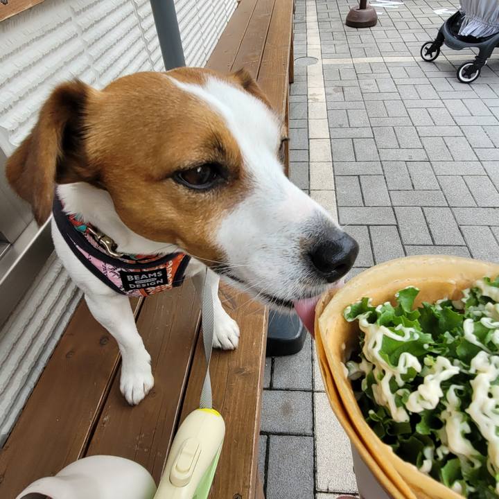 00de0545 9722 41cc 98e8 52019b54224a 1713914920593