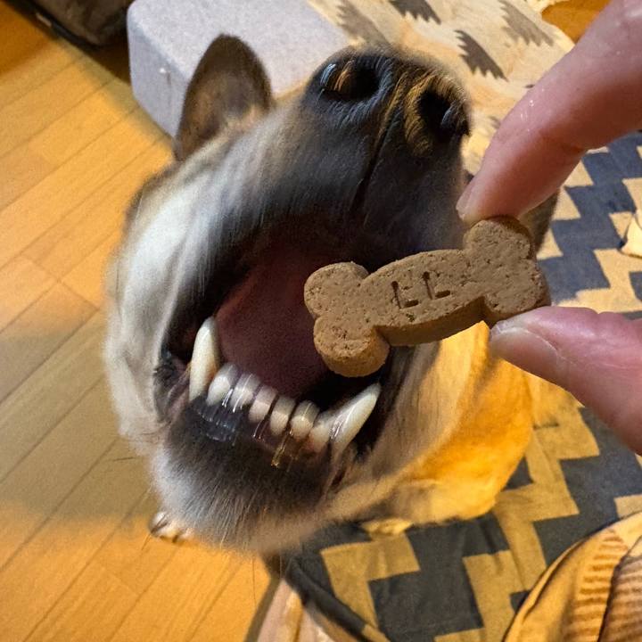 00de1f06 7f71 40f2 b000 bc1bdfd6e160 1744028476104