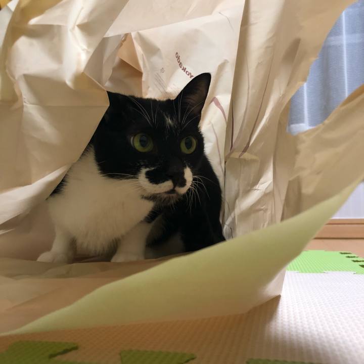 00de38bc ac4d 4e59 b1e3 b076c8ceade8 1570274039339