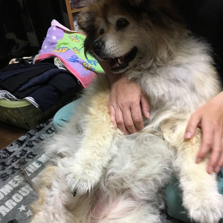 00de644a 6fdb 4877 bb27 8b6ea847e0f2 1576139135372