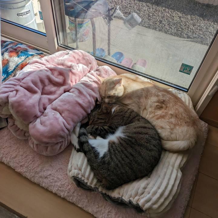 00de8e61 3720 4d24 8435 3d785693fd2b 1698811837445