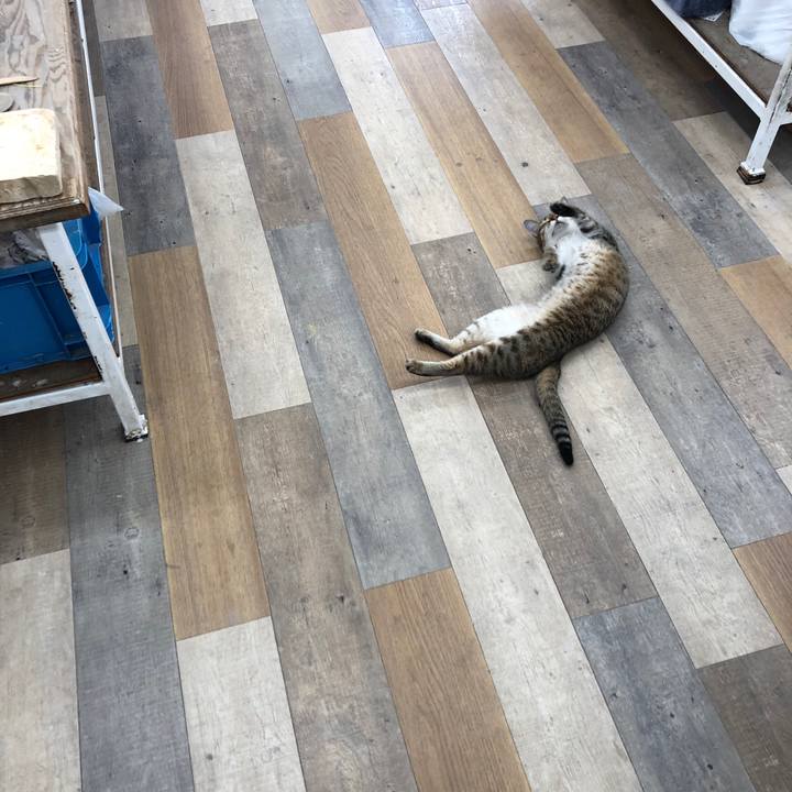 00debb0e 0a3d 44af a884 44764a82d6e3 1655889318035