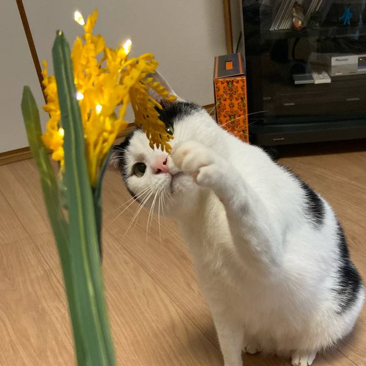 00def966 a12c 4638 a7a2 0d38d0440031 1576904463318