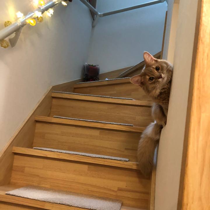 00df06e6 d5d8 47bc ac3b 15b2ba9bdc44 1573607262233