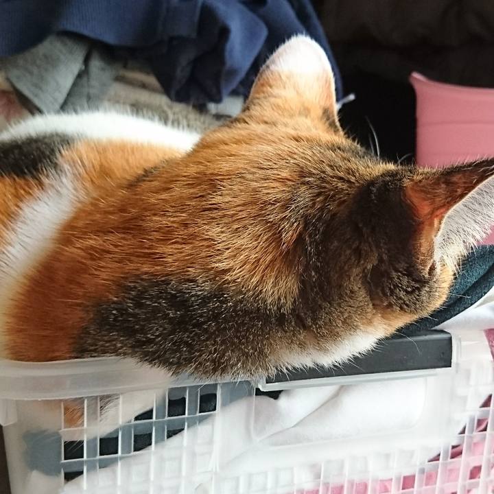 00df17a1 e7d9 49dc 8856 9054ad3677fc 1558756641986