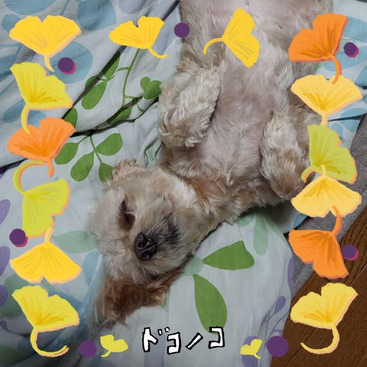 00df35f8 2404 4892 a7ba 541e9984a9b3 1729045138291