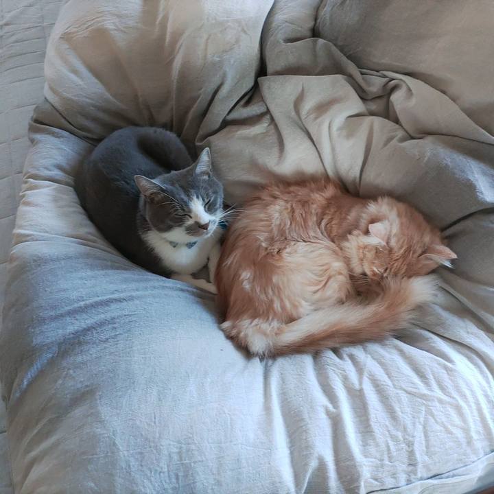 00df4827 31ee 4a61 b635 57f8b5932b39 1667387157656