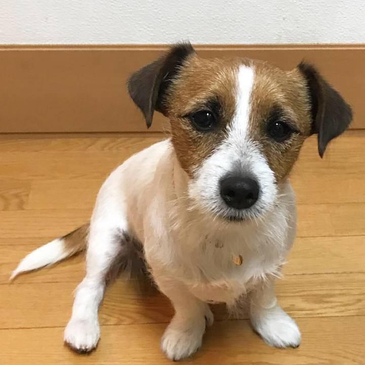 00df4a78 d83a 44cd ad74 a850ff68d416 1508065485150