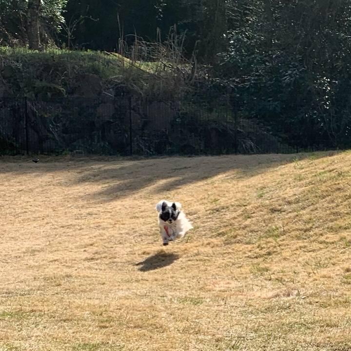 00df5715 74c4 4ac6 aae3 91332f7687c9 1553430594737