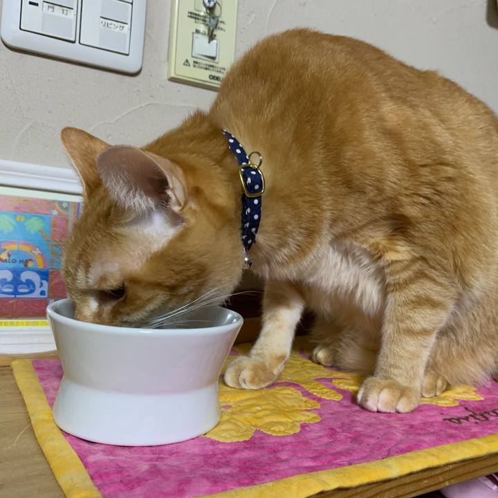 00df5c1c 0f97 4190 838a 65f11fdddbf4 1608472625710