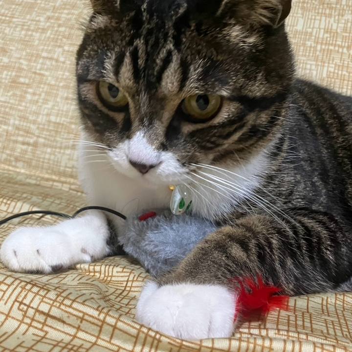 00df65a8 23cd 4b28 a8ce 592bebe670dc 1772666228993