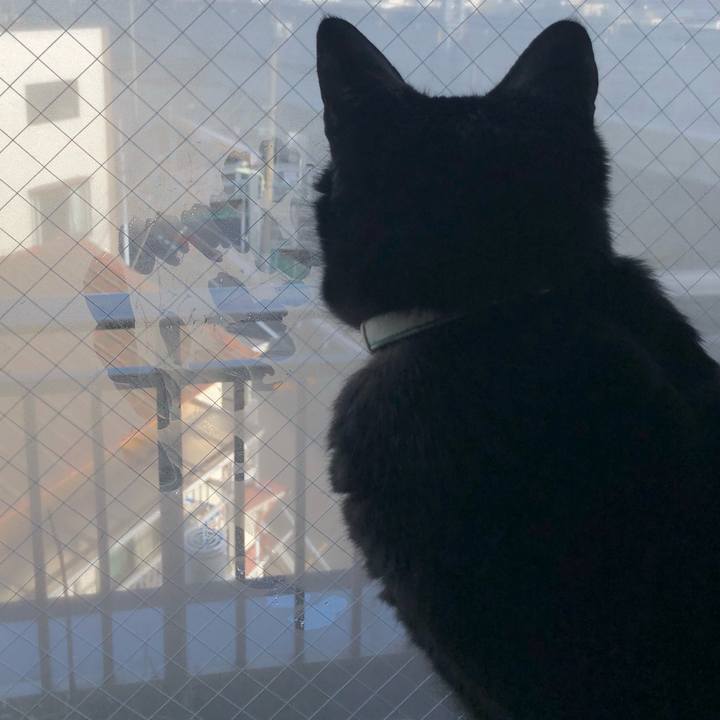 00df71a2 fa9e 4f0f 854a 1cfcef24226c 1609754045733