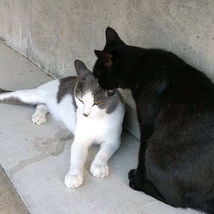 00dfcd4c de87 4d88 8e8b 30abf8fd2791 1598829693797