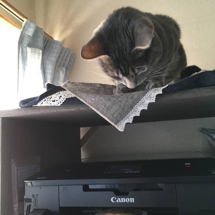 00dfdd65 cba6 47fe b46d 6087096df28d 1513990726835