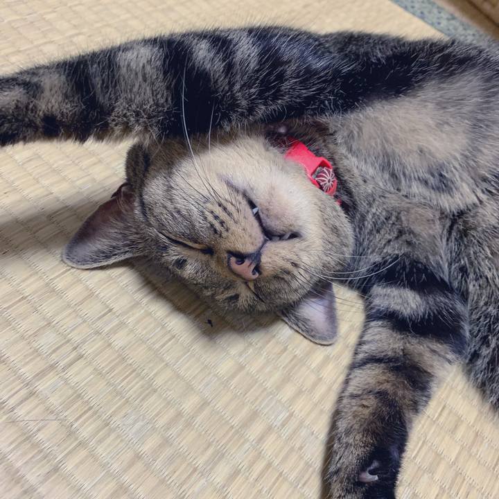 00dfe146 ff94 43ee 9051 3c9e1e02ca24 1565354288852