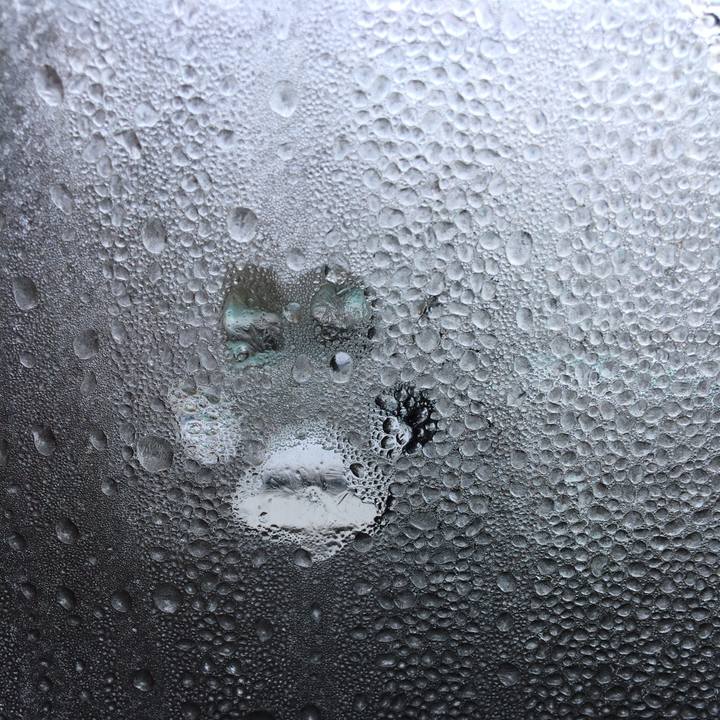 00e00f49 3794 4183 8e0f 3287fc75b9f1 1549691505619