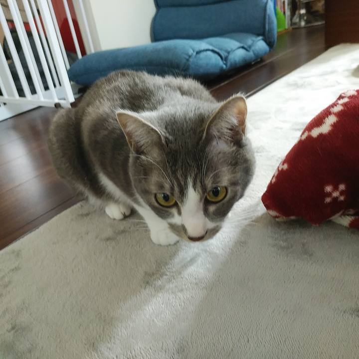 00e02f36 5dfc 4e02 b262 97049c3a2c51 1586993086852