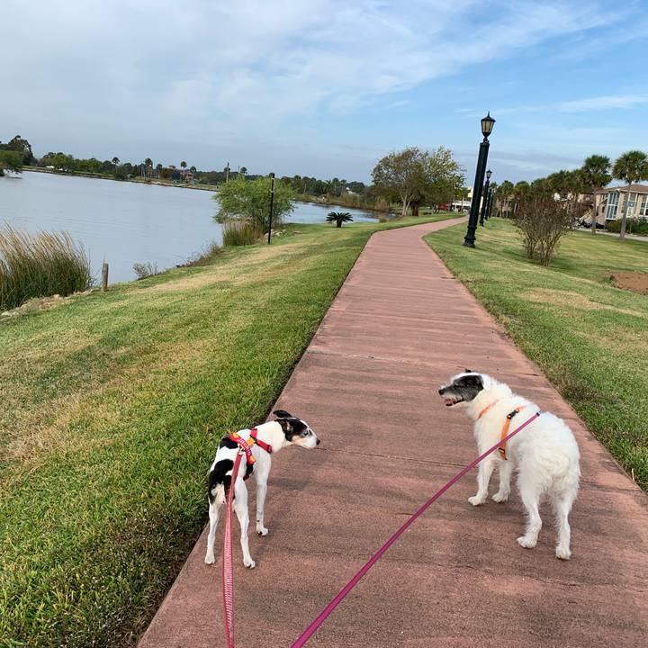 00e05e49 a7f7 4fb0 8fca a109c8438476 1637878481273