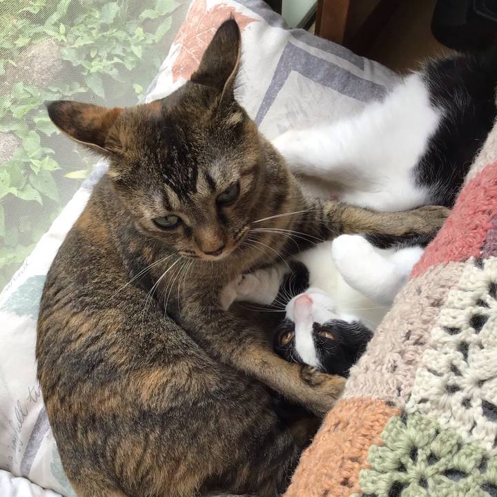 00e06970 8672 4c0e 829d 24cbecef1f1c 1631333364338