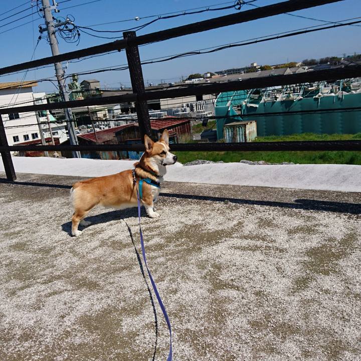 00e07c73 5e1d 482e a6ea 3a3d3dd42b0f 1586832381701