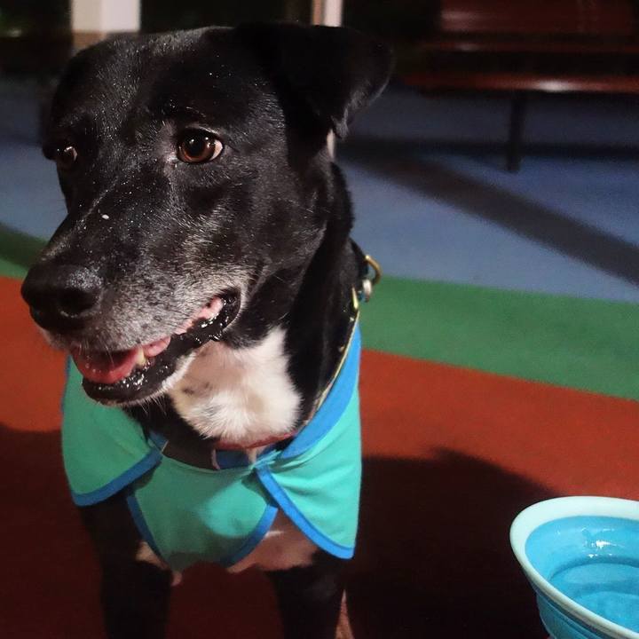 00e089a0 9873 41b0 bd3d 57194b2ee1d7 1694169019231