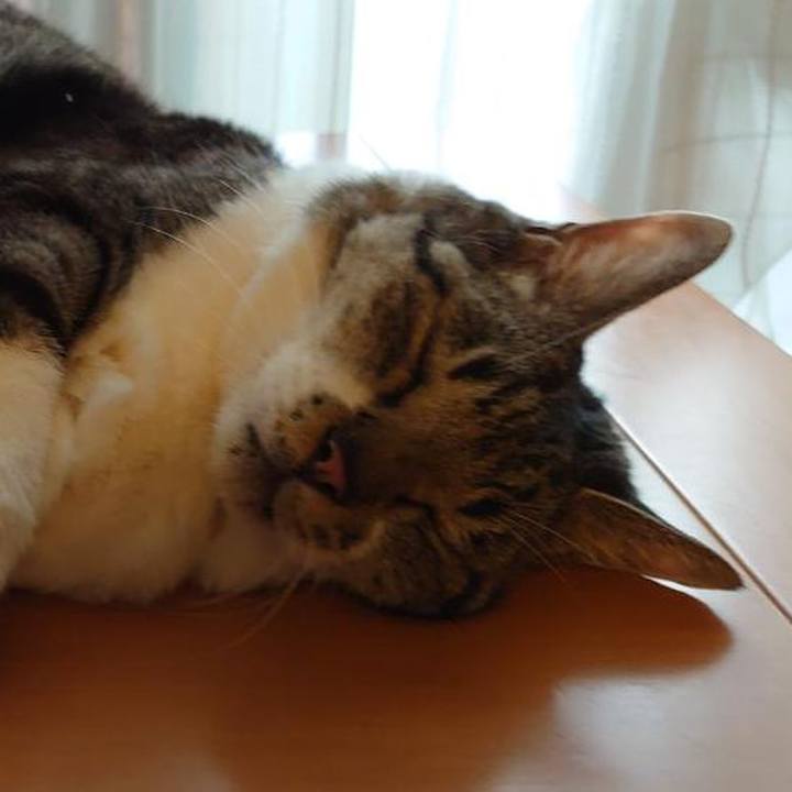 00e0bfa2 0137 4b52 a228 877d973278da 1700452250610