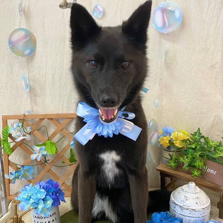 00e0cb56 14aa 48cc 9cab 63dc4e622a9a 1686963272135