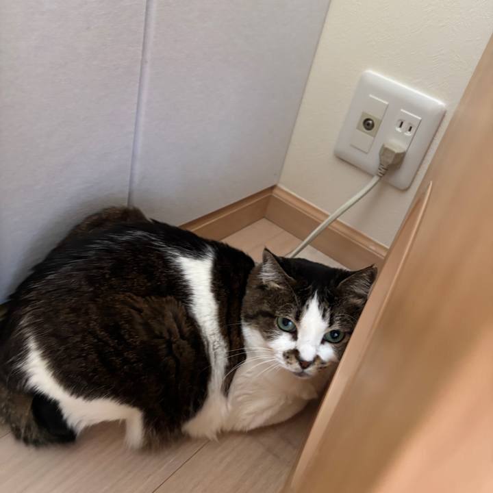 00e0db2e 8f2d 430b 909c eb5bd9059d85 1772774948889